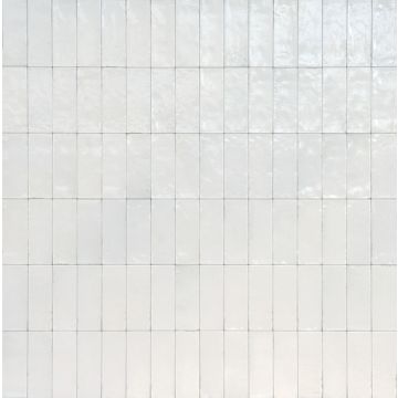 Rice 224 Bianco Rectangle RC20 White