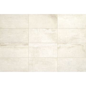 Platinum White, Rectangle, 24X48, Matte