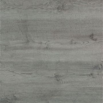 16x48 Deputy Grey Xterior Paver Wood-look Porcelain Tile - This tile is perfect for outdoor flooring