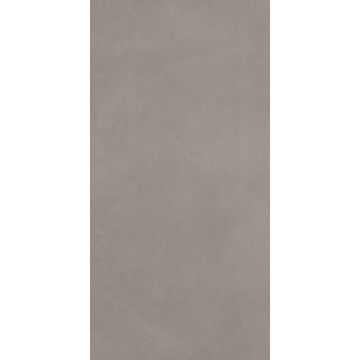Block 467 Greige Rectangle BK03 Gray pewter gray porcelain tile tile on bathroom shower wall, 24x47