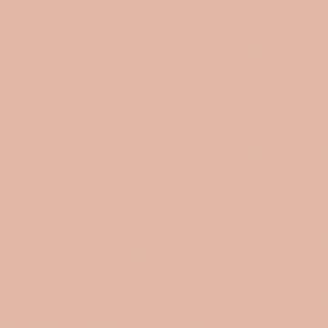 Color Story Wall - 0023 - Blush - Rectangle - 3X6 - Glossy beautiful peach mosaic tile on bathroom shower wall, 3x6