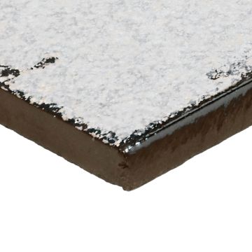 Seashell Rectangle