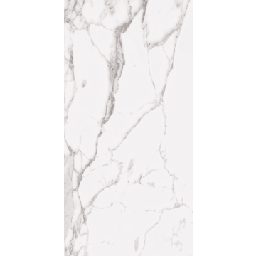 Statuary Whitegray Polished Uary