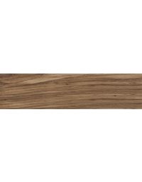 Knoxwood 510 Spice Plank KW03 Brown walnut brown porcelain tile tile on bathroom shower wall, 6x24
