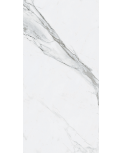 Bianco Venatino Whitegray Polished 448R