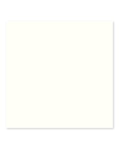 ceramic wall tile -196-Caba Collection-Bright-50 x 200 mm ( 2" x 8" ) premium tile, pristine white, 2x8