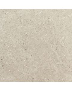 porcelaine tile Notable Beige, Rectangle, 24X48, Matte