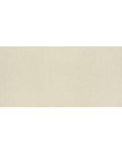 Neoconcrete - NE10 - White - Rectangle - 12X24 - Light Polished porcelain tile tile, pure white, 300x600