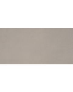 Neoconcrete - NE12 - Light Gray - Rectangle - 12X24 - Light Polished porcelain tile tile, beautiful light gray, 300x600