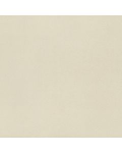 Neoconcrete - NE10 - White - Square - 24X24 - Matte bright white porcelain tile tile on bathroom shower wall, 24x24