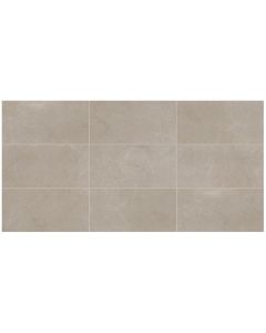 Classentino Marble 404 Coliseum Gray Rectangle CT32 Gray refined gray porcelain tile tile on bathroom shower wall, 300x600