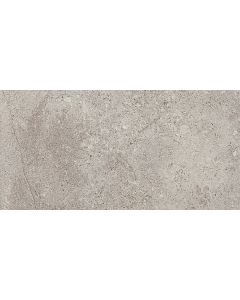 Abound - AB03 - Nimbus - Rectangle - 12X24 - Matte neutral gray porcelain tile tile on bathroom shower wall, 300x600