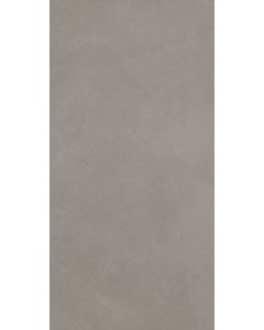 Block 466 Greige Rectangle BK03 Gray dove gray porcelain tile tile on bathroom shower wall, 300x600