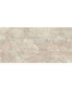Cavatina 580 Aria Rectangle CV05 Light Gray beautiful light gray porcelain tile tile on bathroom shower wall, 300x600