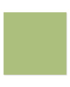 ceramic wall tile -223-Caba Collection-Bright-76 x 150 mm ( 3" X 6" ) olive green premium tile on bathroom shower wall, 3x6