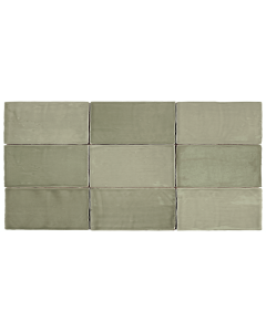 Montel Green Glossy P211