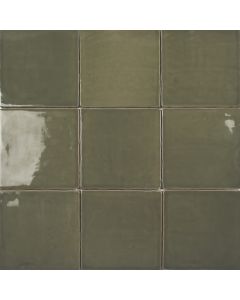 Montel Green Glossy P211